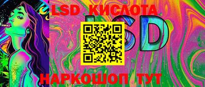 амф Донской