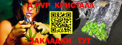 амф Донской