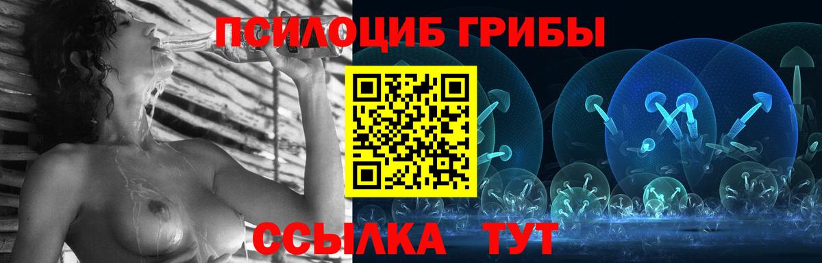 Псилоцибиновые грибы ЛСД  Галлюциногенные грибы Psilocybe  Назрань  Вход с VPN 